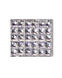 Banocide Forte 100 Tablet